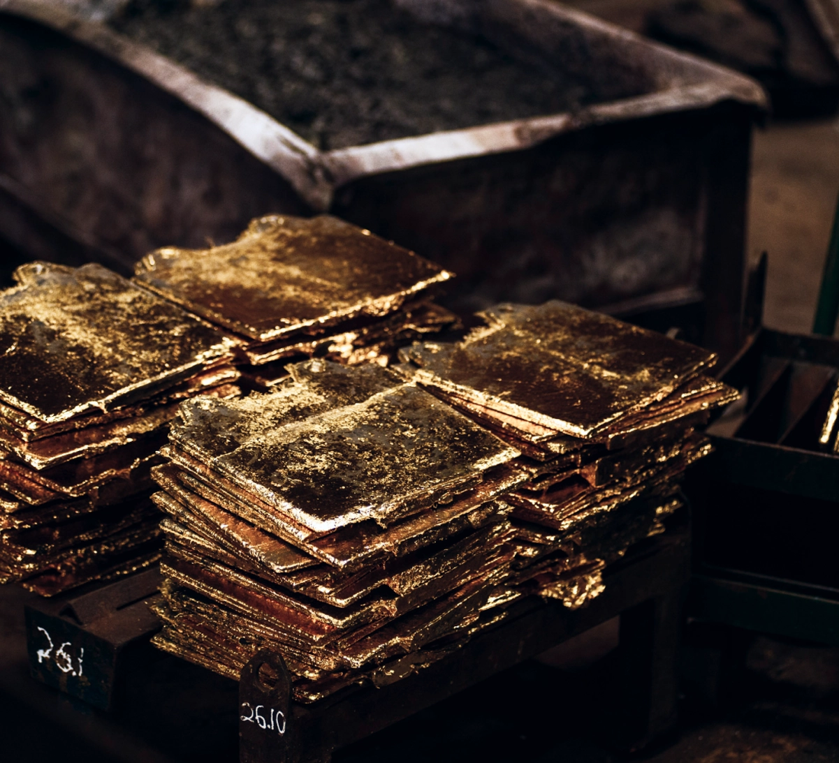 gold_plite.webp